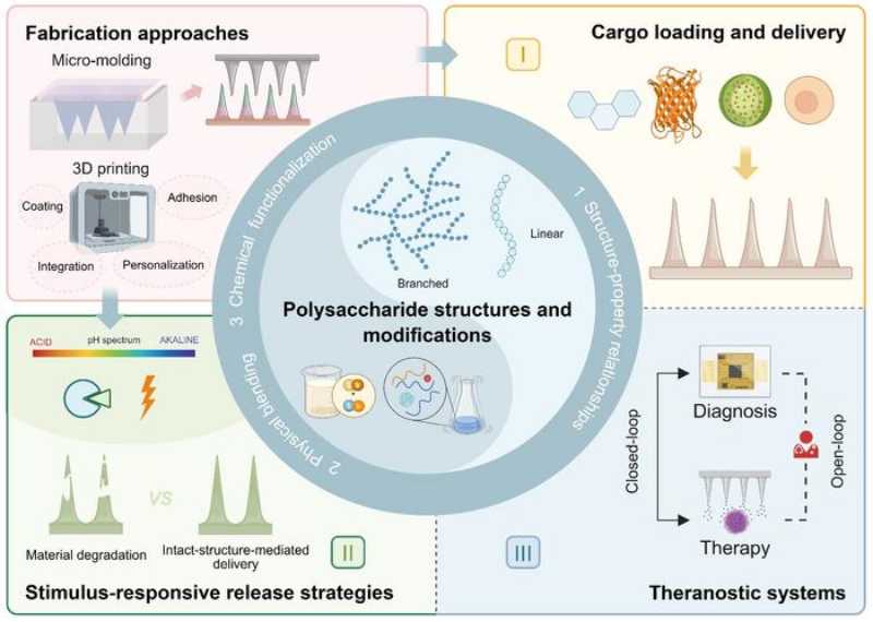 Visual summary of the article’s structure and its main concepts.