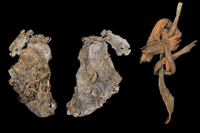 The sewn hide, pictured from the front and the back, alongside another hide artifact from Cougar Mountain Cave Richard L. Rosencrance, et al., Science Advances, 2026