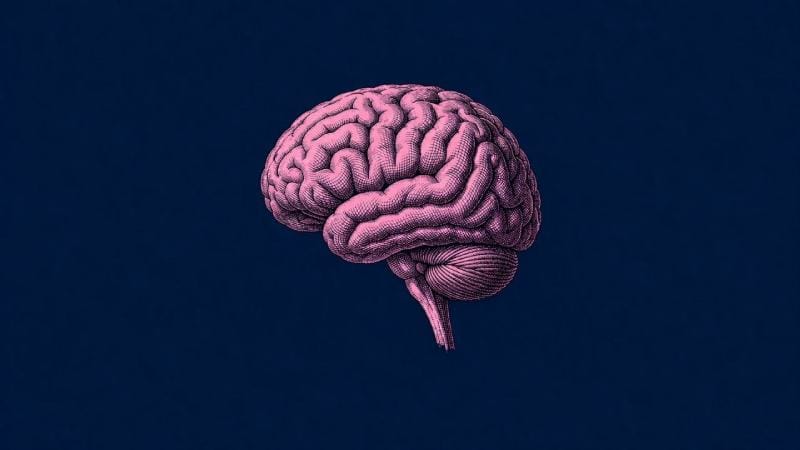 Dieta MIND Pode Retardar o Envelhecimento Cerebral em Mais de 2 Anos