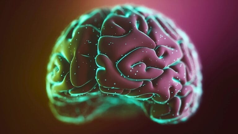 Estudo Revela ‘Ondulações Cerebrais’ Ligadas à Memória Disparadas pelo Exercício