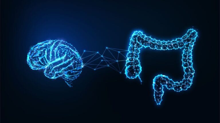 A Conexão Intestino-Cérebro: Uma Nova Fronteira no Combate ao Declínio Cognitivo