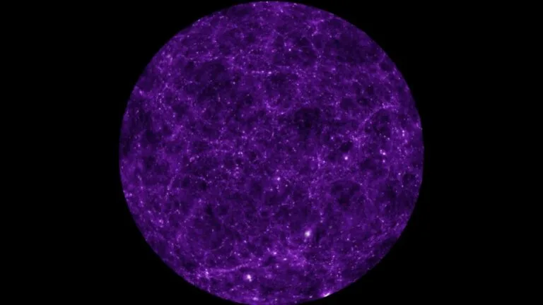 A Persistência da Memória Cósmica: Desvendando Defeitos Topológicos no Universo