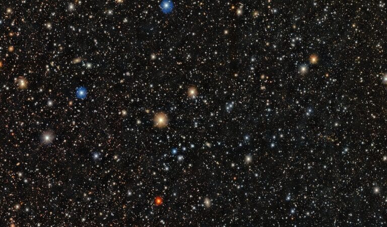 PicII-503: Revelando a Química das Primeiras Estrelas do Universo