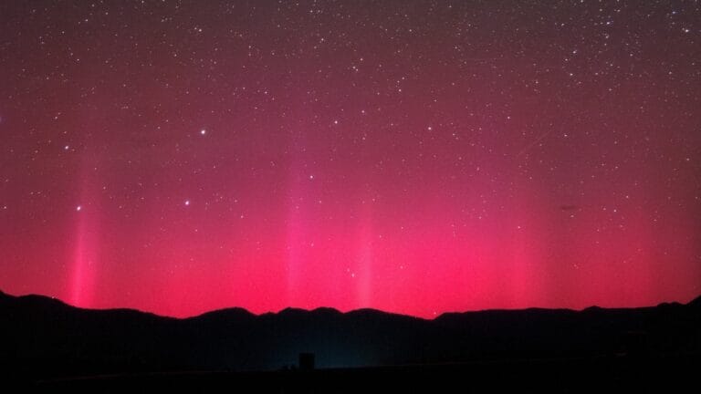 Conexão entre Erupções Solares Subextremas e Anéis de Árvores Através da Poesia