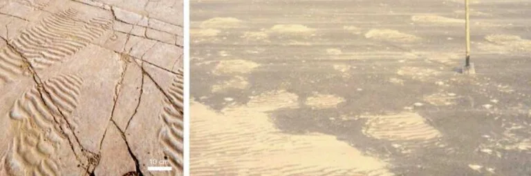 Um tapete microbiano plano com marcas onduladas em uma planície de maré do Cambriano (à esquerda) e atual (à direita). Crédito da imagem: Nora Noffke.