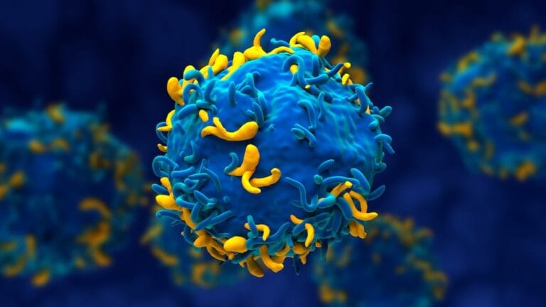 Paciente com Três Doenças Autoimunes Entra em Remissão Após Tratamento Experimental