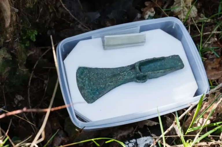 Vista em close da cabeça de machado palstave da Idade do Bronze, mostrando sua lâmina preservada e os detalhes da superfície após o trabalho de conservação. (Forestry England/direitos autorais da Coroa.)