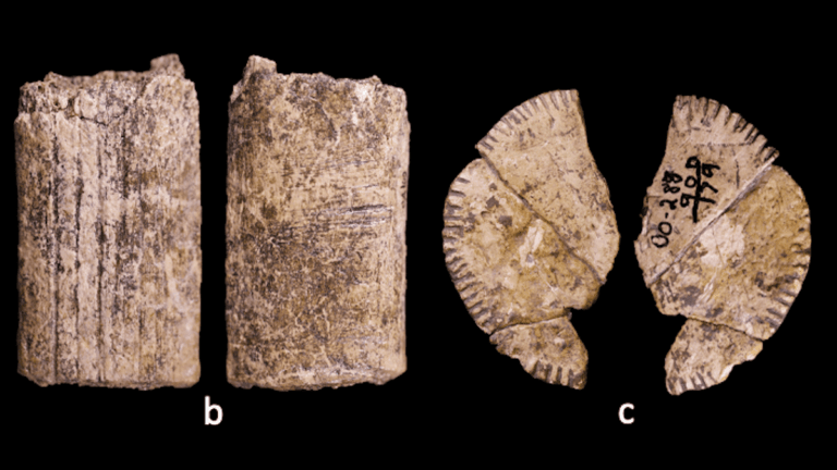 Dados de Mais de 12.000 Anos Reescrita a História da Probabilidade