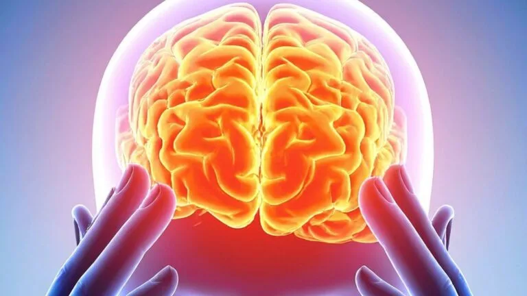 Estudo Revela ‘Impressão Digital’ Comum no Cérebro de Cinco Psicodélicos