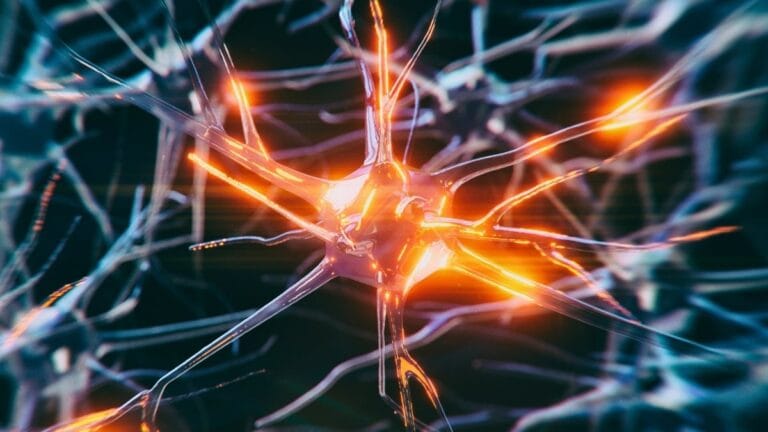 Estimulação do Nervo Vago: Um Potencial Aliado na Proteção da Memória