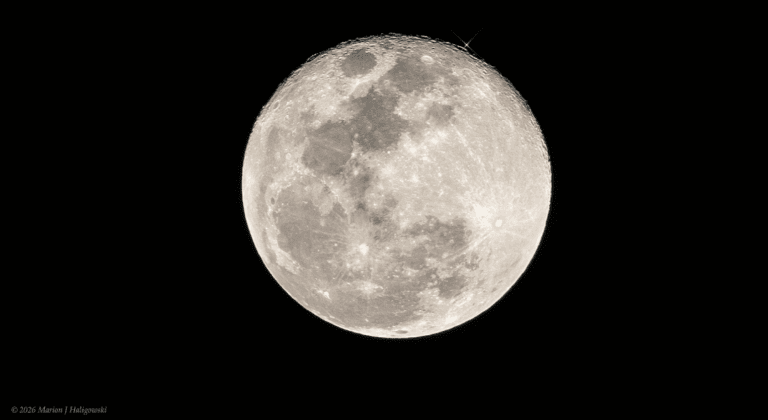 Lua Oculta Regulus nas Américas na Noite de Sábado