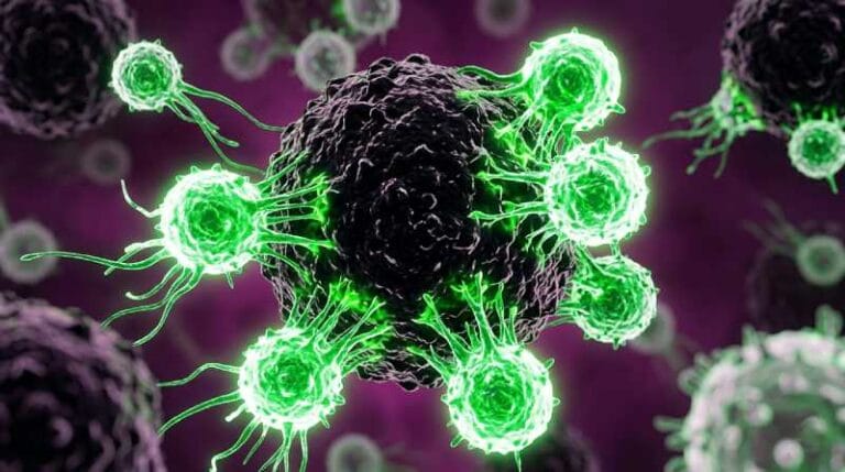 Vacina Personalizada para Câncer Pancreático Aumenta Sobrevida em Seis Anos