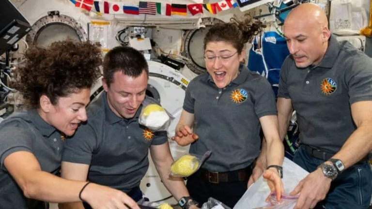 Tripulantes a bordo da Estação Espacial Internacional desembalam frutas frescas recém-entregues e outras guloseimas em outubro de 2019. (NASA)