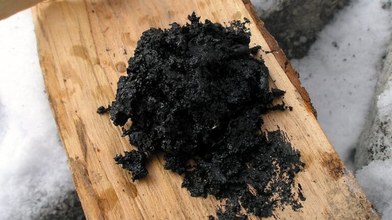 Neandertais Usaram Betume de Bétula como Medicina Antibacteriana, Sugere Estudo