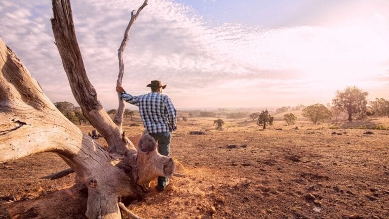 Estudo Revela Que Secas Podem Favorecer Bactérias Resistentes a Antibióticos