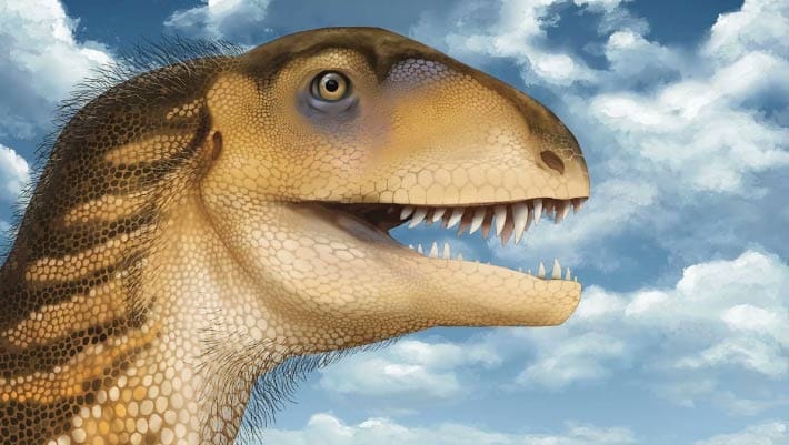 Nova Espécie de Dinossauro Triássico Identificada no Novo México