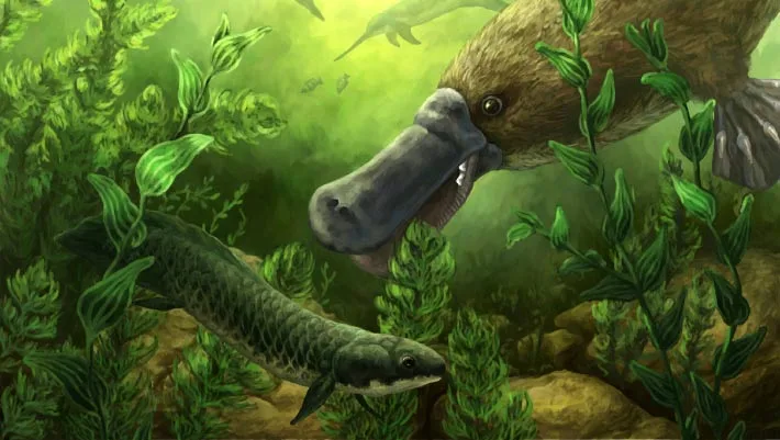 Representação artística de um ornitorrinco fóssil e do ambiente ao seu redor há cerca de 25 milhões de anos. Crédito da imagem: Gen Conway, Laboratório de Paleontologia da Universidade Flinders.