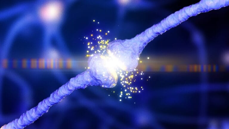 Nova Teoria Unificadora Pode Explicar o Surgimento do Alzheimer no Cérebro