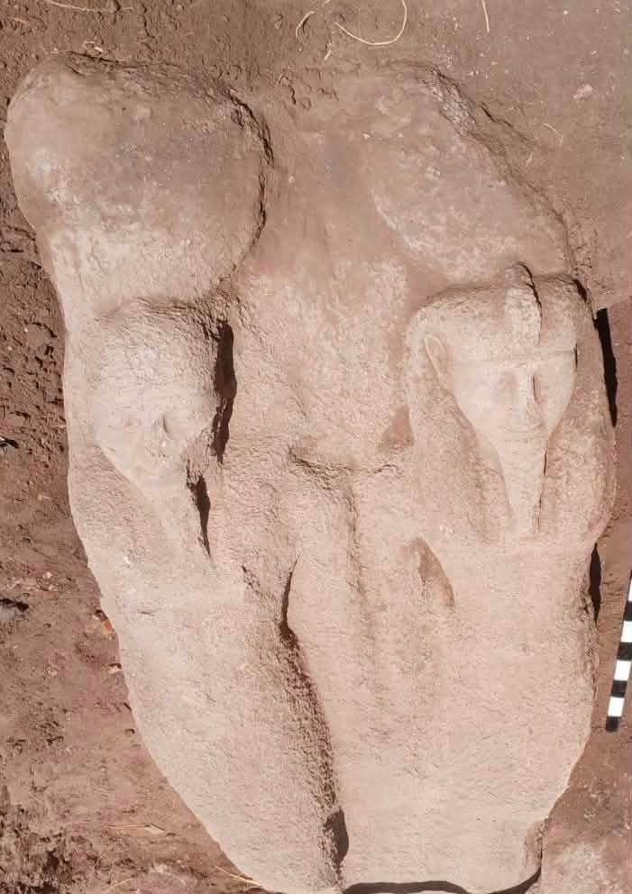 Estátua de Ramsés II encontrada no Delta do Nilo revela reutilização de monumentos reais na Antiguidade