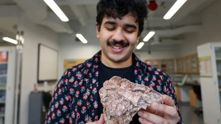 Fóssil Revela Dinossauro que Não Deveria Existir