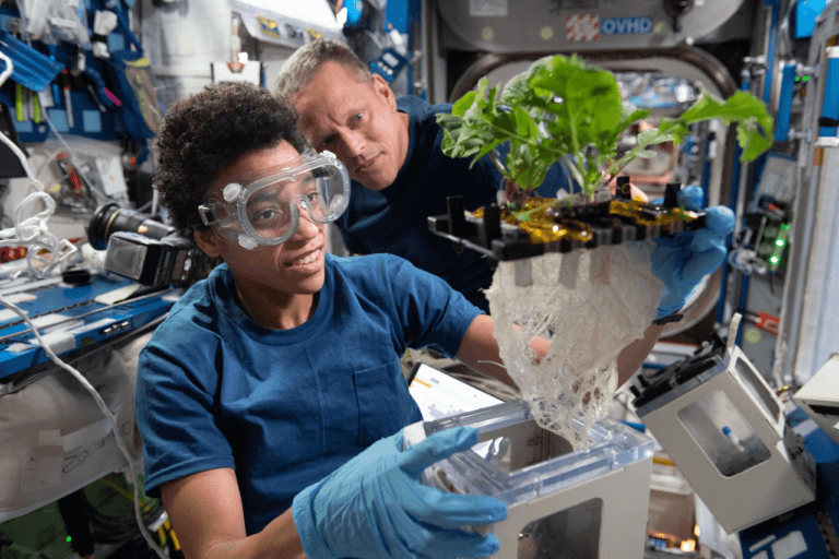 Estudo analisa dinâmica de equipes em base lunar