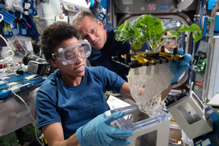Estudo analisa dinâmica de equipes em base lunar