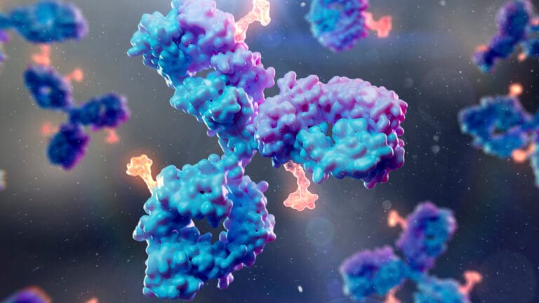 Cientistas Desenvolvem Novo Anticorpo Contra Vírus que Infecta 95% da População