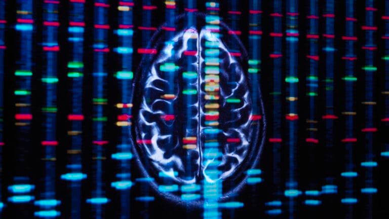 Gene APOE2 está ligado a menor risco de Alzheimer