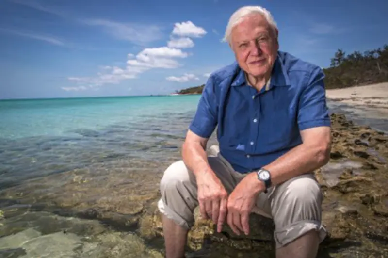 Fotografia de Sir David Attenborough sentado na Grande Barreira de Corais, tirada para sua série sobre a Grande Barreira de Corais