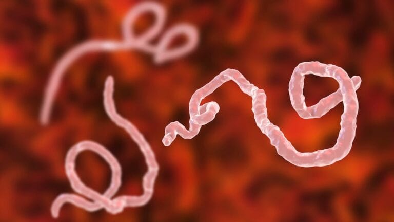 Ebola: OMS declara emergência de saúde internacional na RDC
