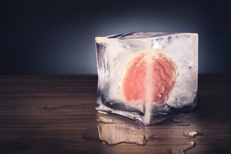 Cientistas desenvolvem método para congelar tecido cerebral