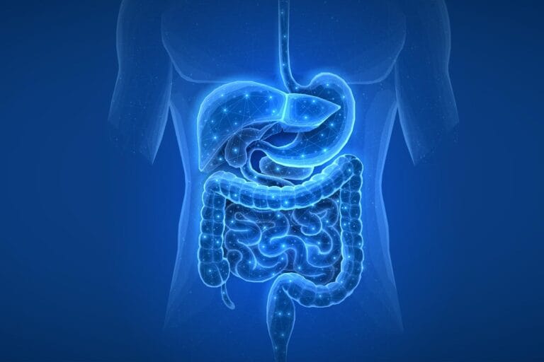 Estudo revela que medicamentos alteram microbioma intestinal por anos