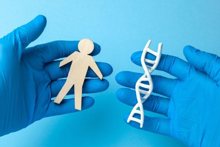 Estudo genético revela complexidade das origens na Europa