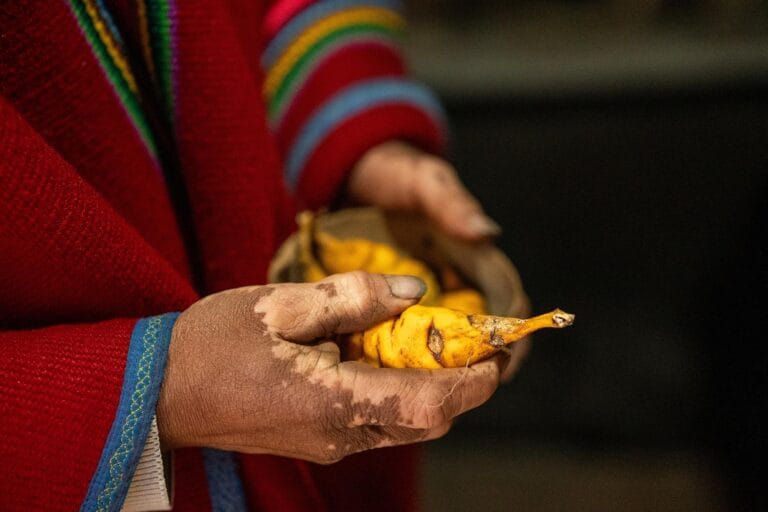 Estudo revela influência da batata na evolução dos andinos