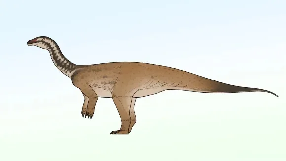 An artistic reconstruction of Xiangyunloong fengming. Image credit: Connor Ashbridge / CC BY 4.0.