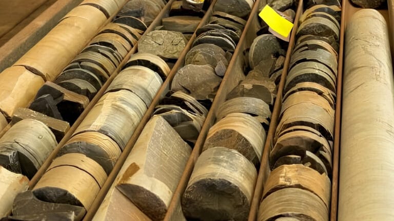 Fósseis antigos revelam origem de vida complexa na Terra