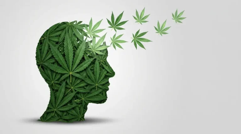 Stanford alerta sobre riscos do uso de cannabis em idosos
