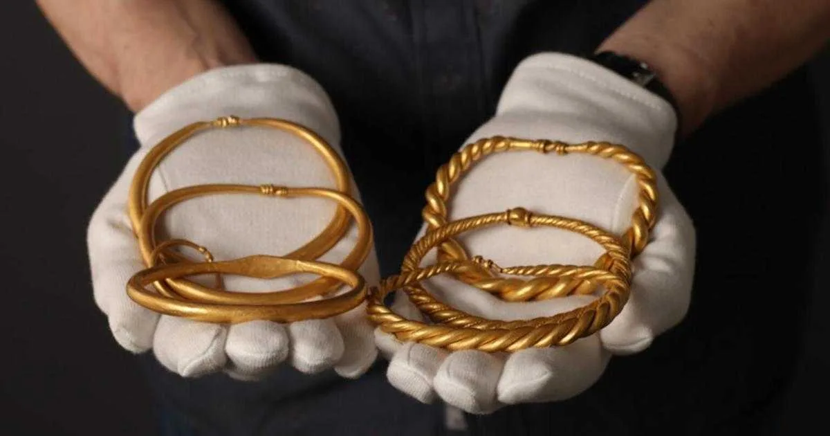 The six gold bracelets discovered in Rold, the third-largest Viking Age gold discovery in Denmark. Source: North Jutland Museums.