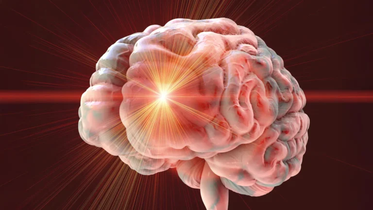 Estudo revela danos cerebrais em camundongos por drogas anti-envelhecimento