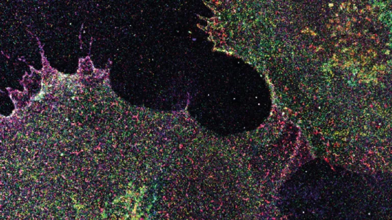 Cientistas mapeiam padrões de açúcar em células humanas
