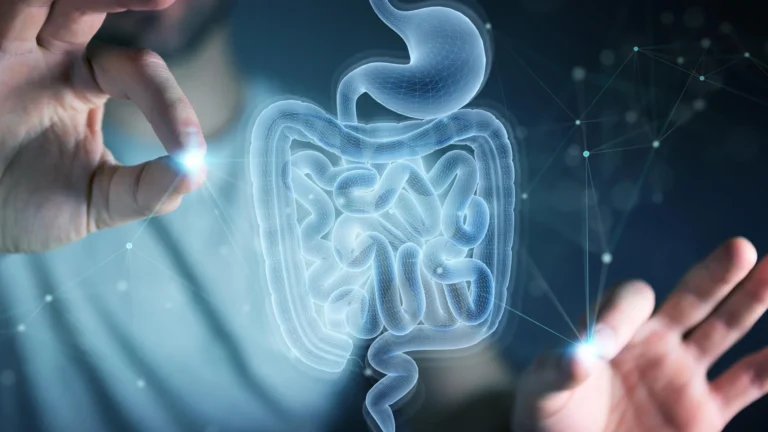 MIT identifica aminoácido que auxilia na recuperação intestinal