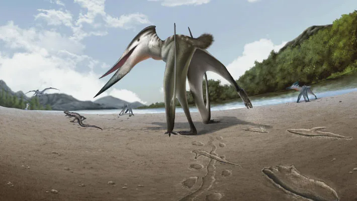 Ilustração de reconstrução da vida de Jinjuichnus procerus e dos tetrápodes responsáveis pelas pegadas. O produtor de trilhas neoazdárquio está seguindo o pequeno vertebrado. Crédito da imagem: Jun Seung Yi.