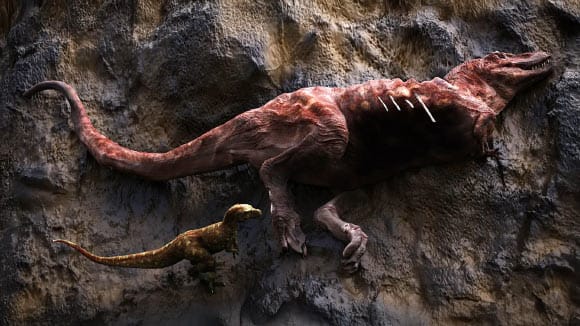 Estudo revela que tiranossauros também eram carniceiros