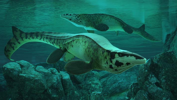 Paleontólogos descrevem novo mosassauro gigante do Texas