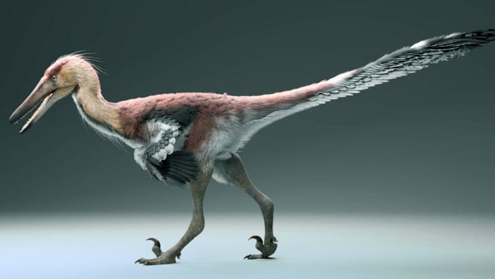 Paleontólogos identificam nova espécie de dinossauro na Argentina