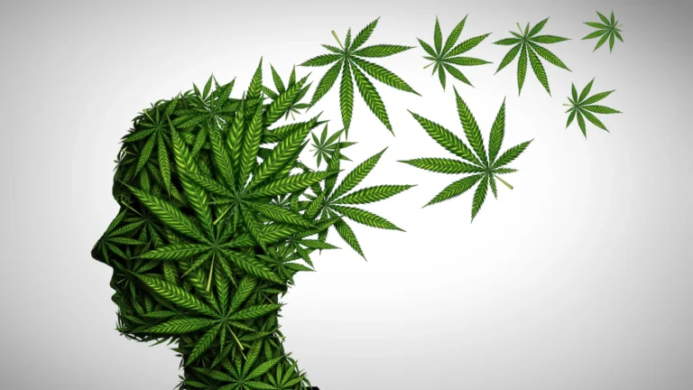 Stanford alerta sobre riscos do uso de cannabis em idosos