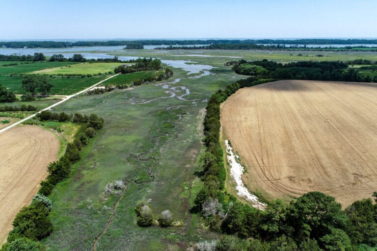 Estudo revela perda acelerada de terras agrícolas no Mid-Atlantic