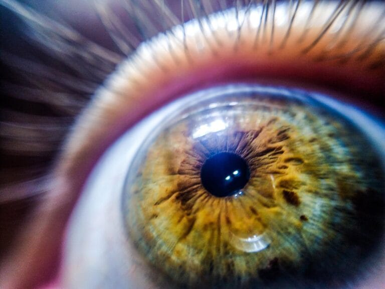 Estudo revela interconexões nas células da retina