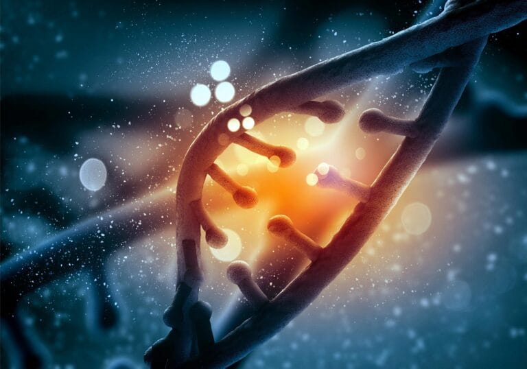 Estudo revela novo papel da metilação do DNA em anêmonas do mar