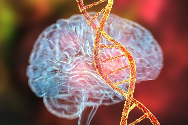 Estudo revela mudanças cerebrais precoces ligadas ao Alzheimer